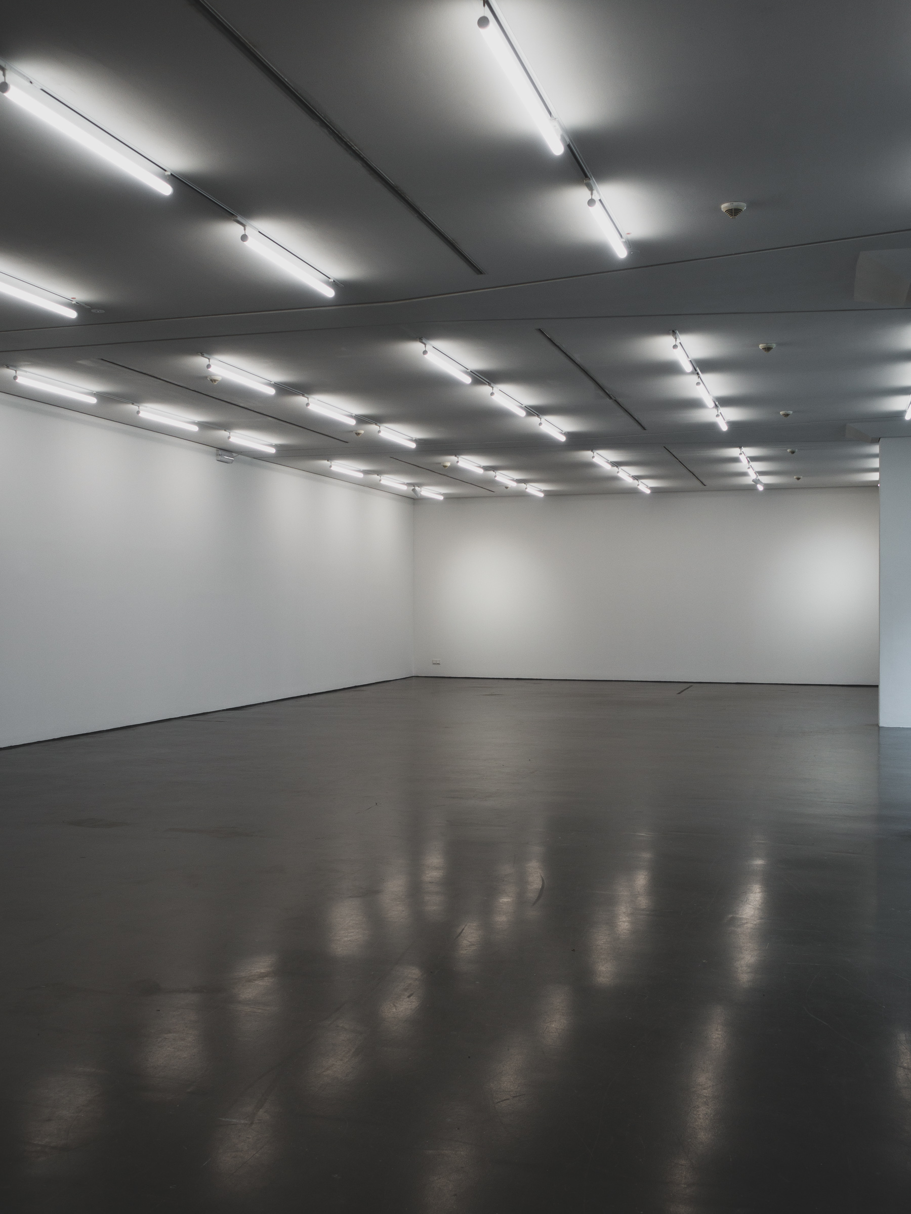 Large empty gallery space with fluorescent ceiling lights reflected on dark floor, Kunsthalle Düsseldorf