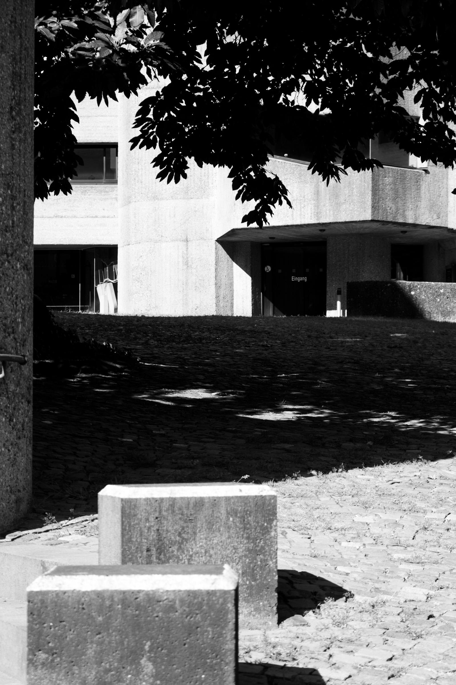 Concrete entrance building of Rathaus Bensberg under tree canopy, "Eingang" sign visible