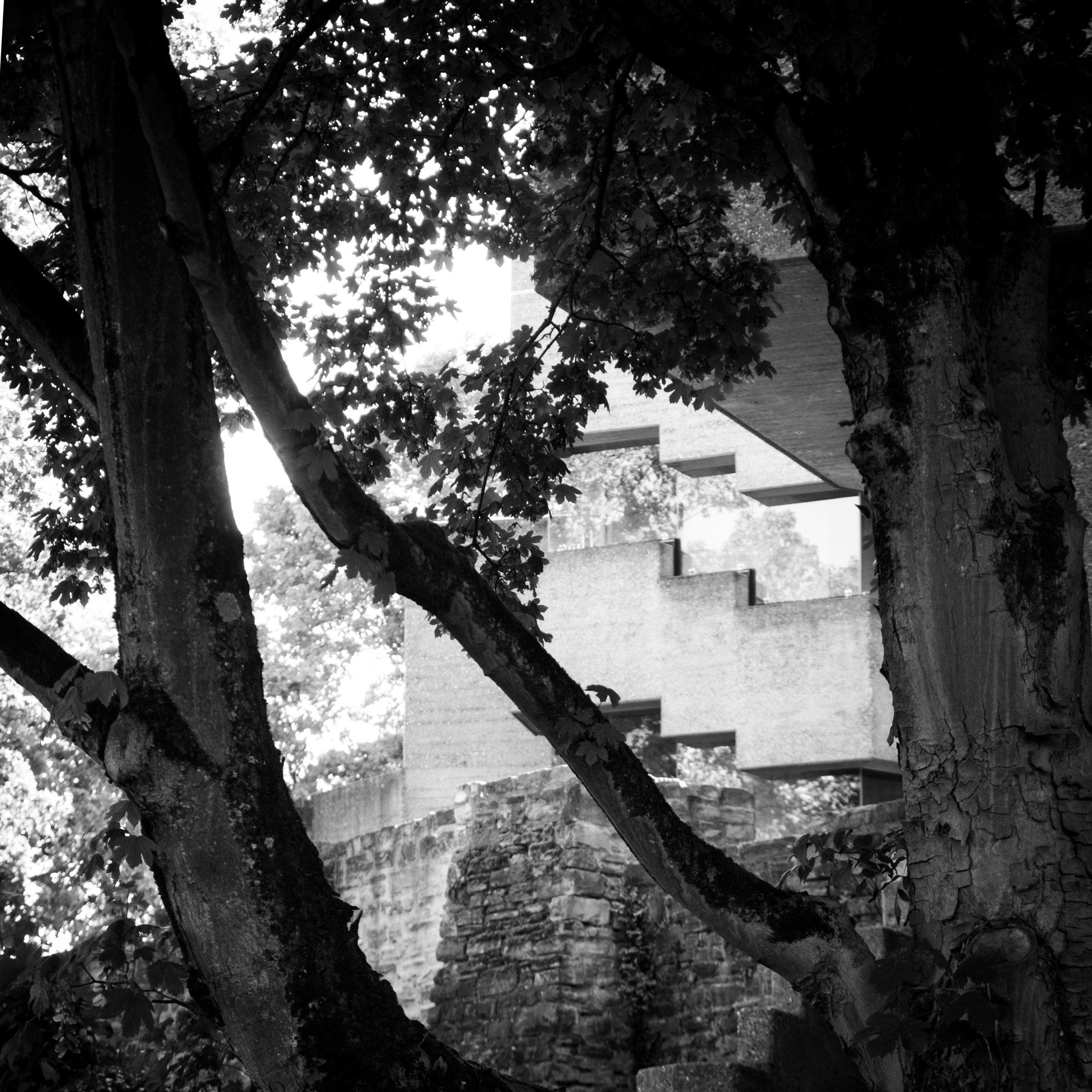 Rathaus Bensberg's concrete balconies seen through tree branches, medieval stone wall below