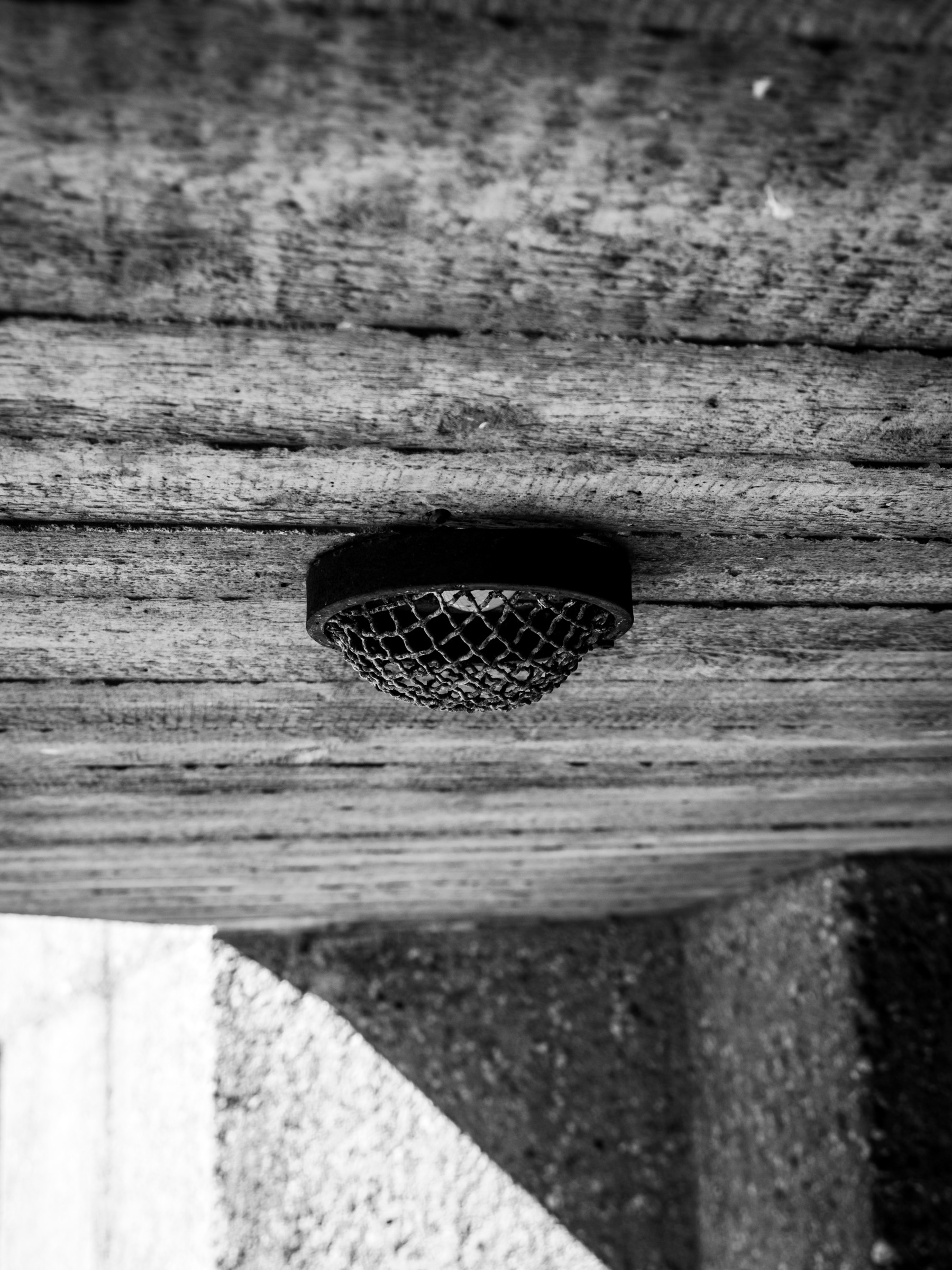 Small round ventilation grille set into board-marked concrete ceiling