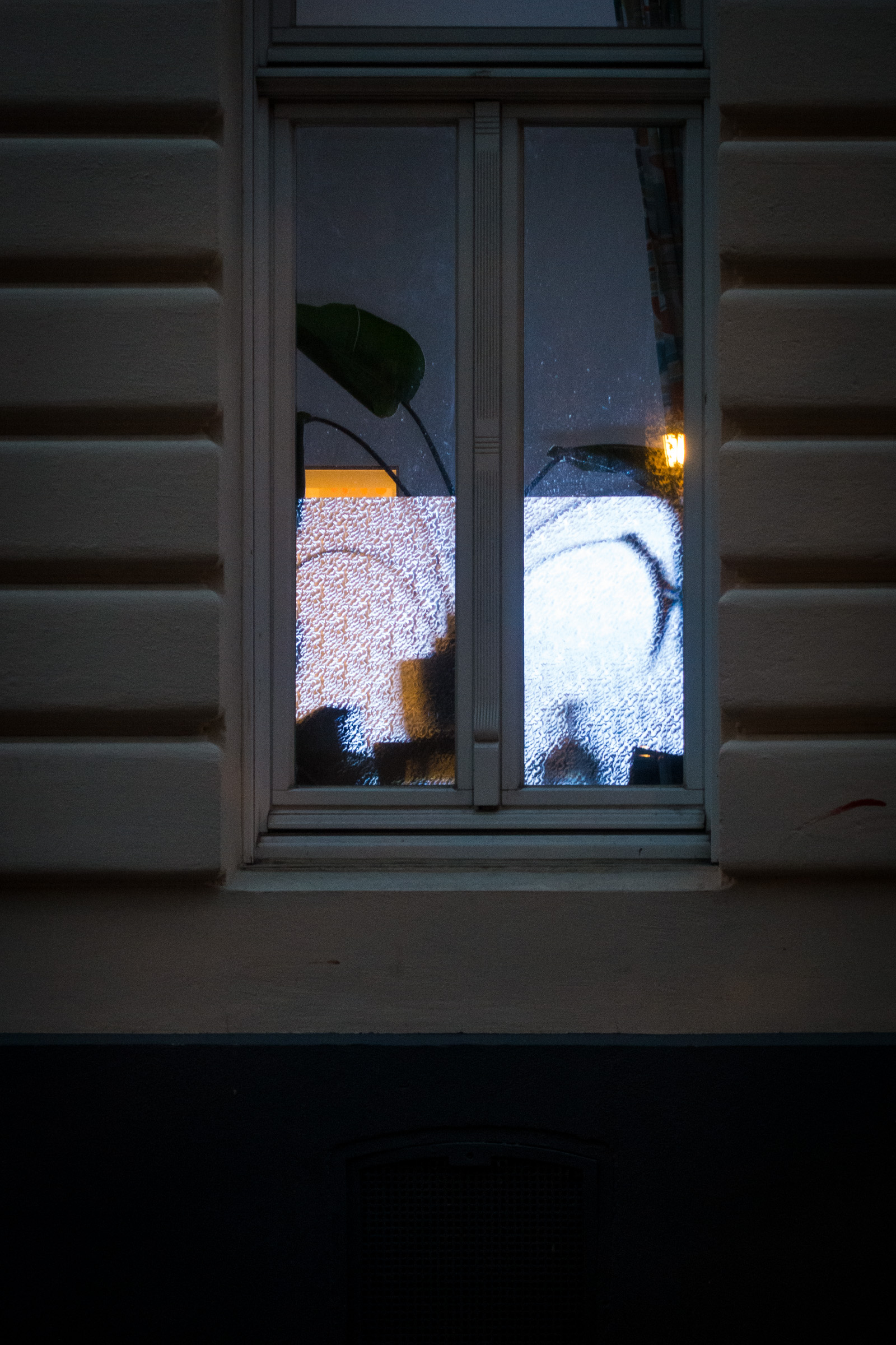 Lit window with a houseplant and flickering television glow, Florastraße, Nippes, Cologne