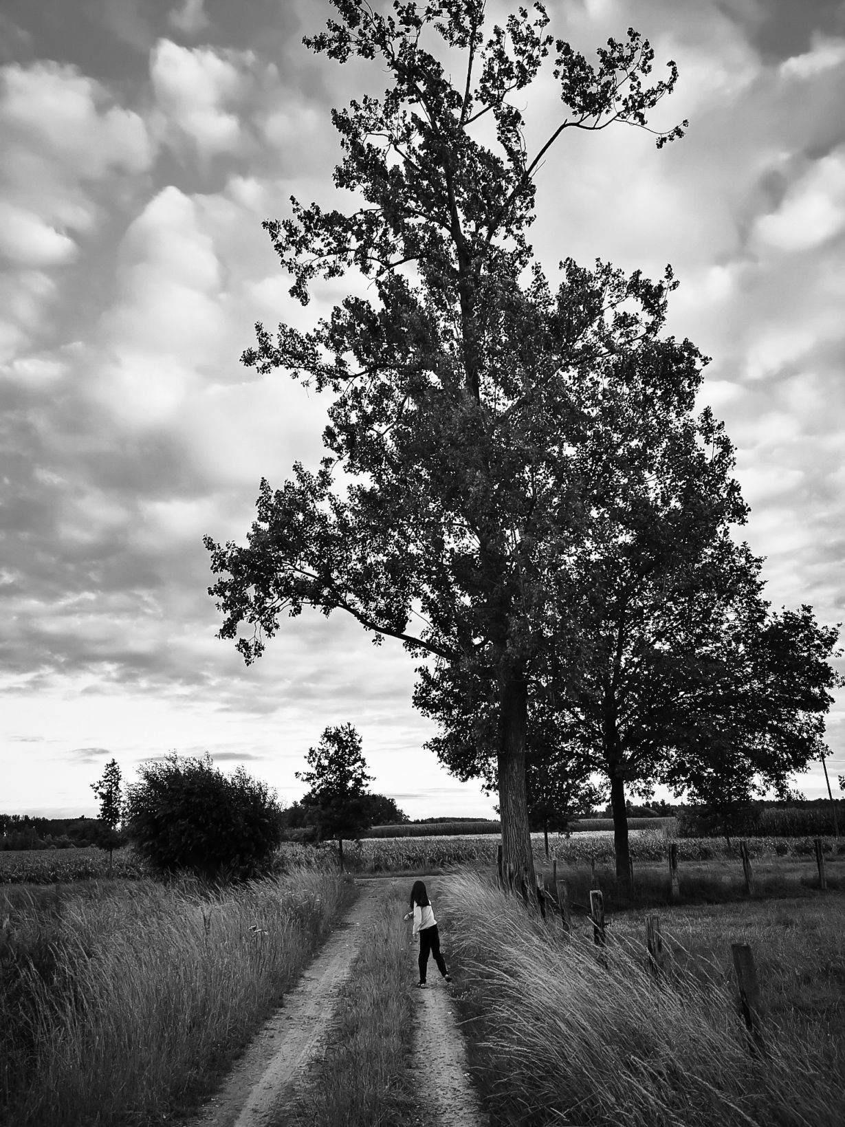 Bavegem Belgium, Jul 2022, Bart Van Kersavond