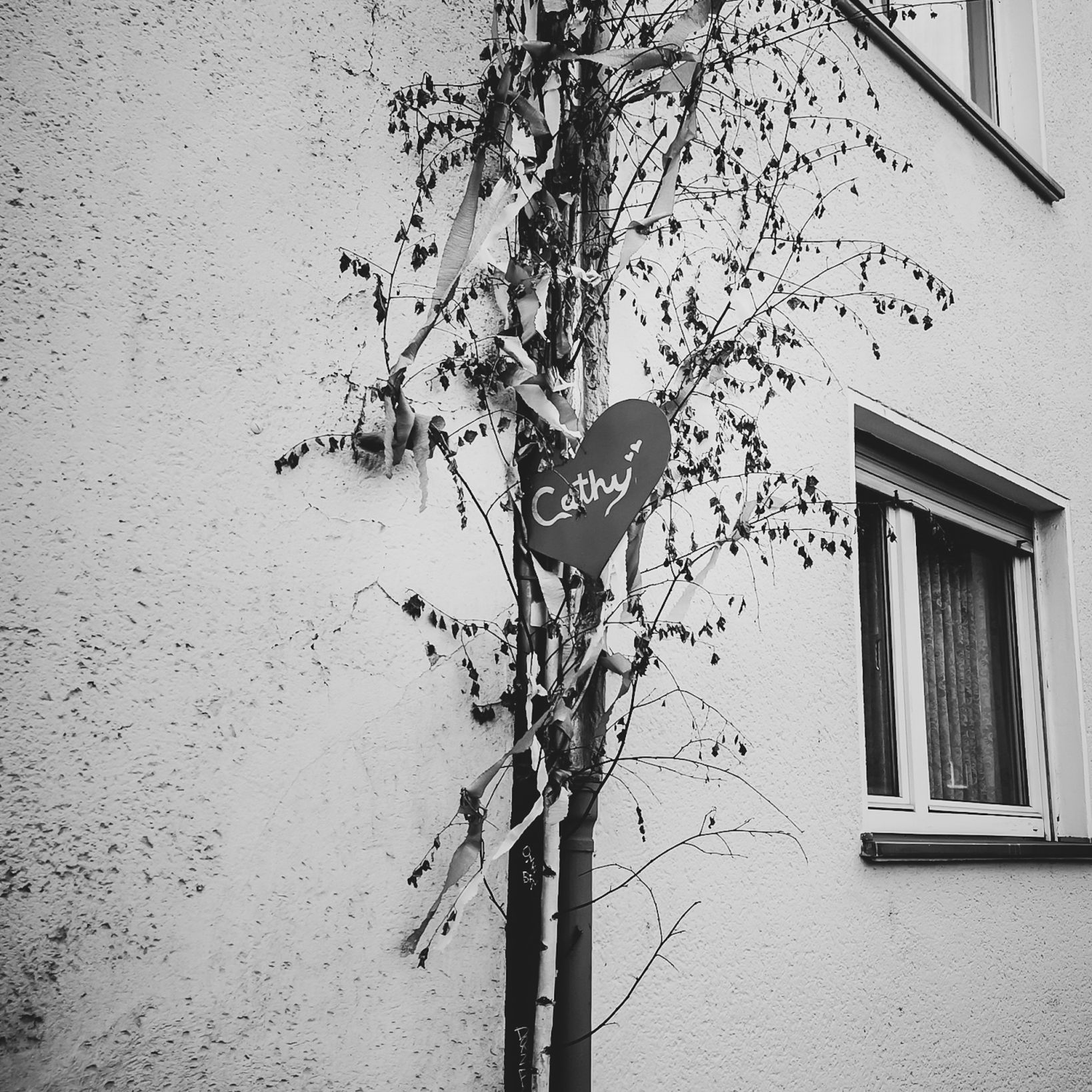 "Cathy", Mühlheim Köln, Aug 2022, Bart Van Kersavond