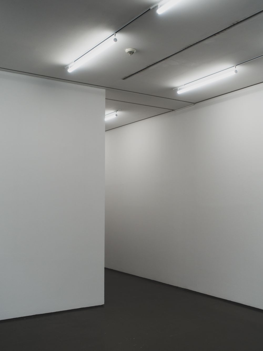 Empty gallery corner with partition walls and fluorescent lighting, Kunsthalle Düsseldorf