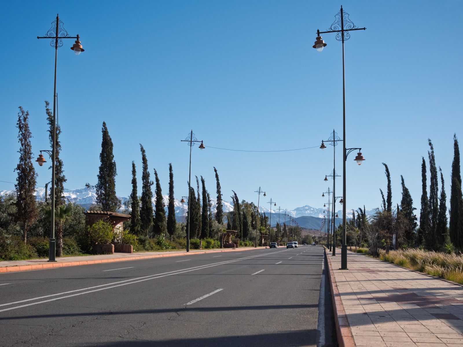 Decorative street lamps lining a scenic road, with snow-capped mountains in the distance.