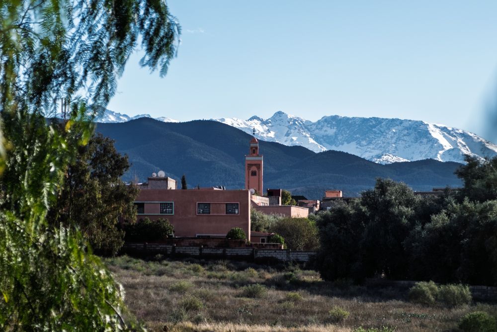 Mosque with a tall minaret, surrounded by greenery and snow-capped mountains under a blue sky.